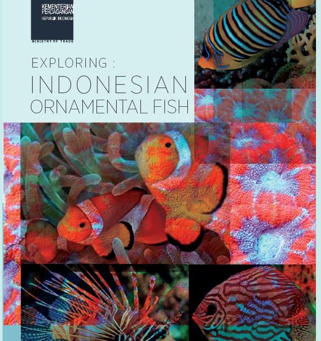 Ornamental Fish